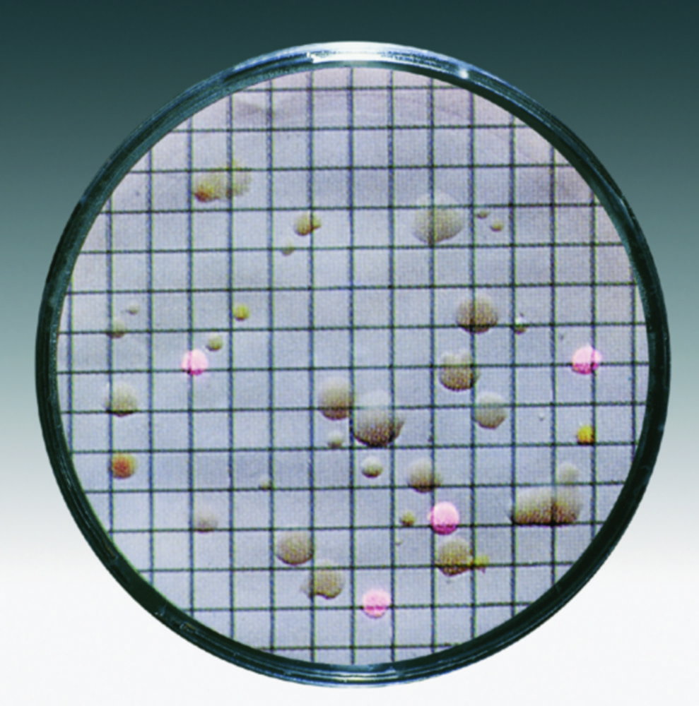 microscoopglide, rasterpatroon, vlekken, petri-achtig, ronde kijk
