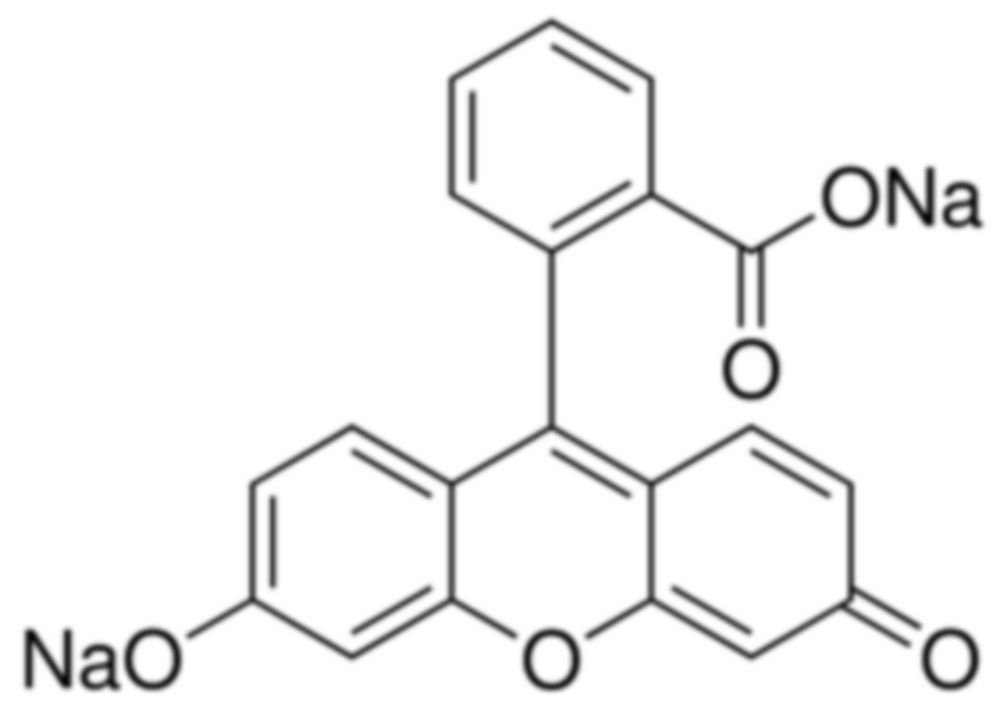 Fluorescein disodium salt 90%