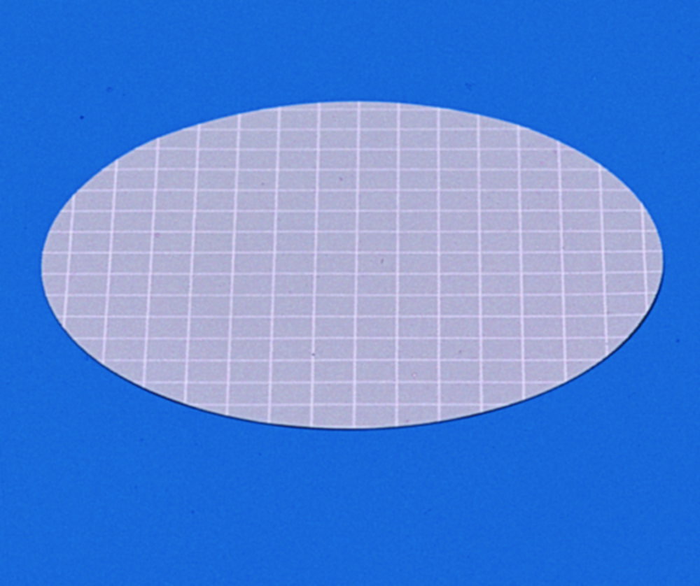 ovale sticker, witte raster, rasterpatroon, transparante plak?, oval patch