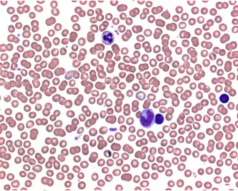 Buffertabletten ph 6,8   voor  bereiding bufferopl. vlg weis