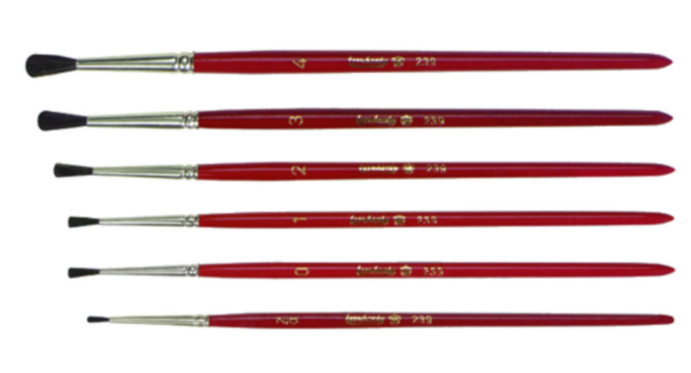 Penselen set 6-delig, groottes  2/0, 0,1,2,3 en 4, fijn haar