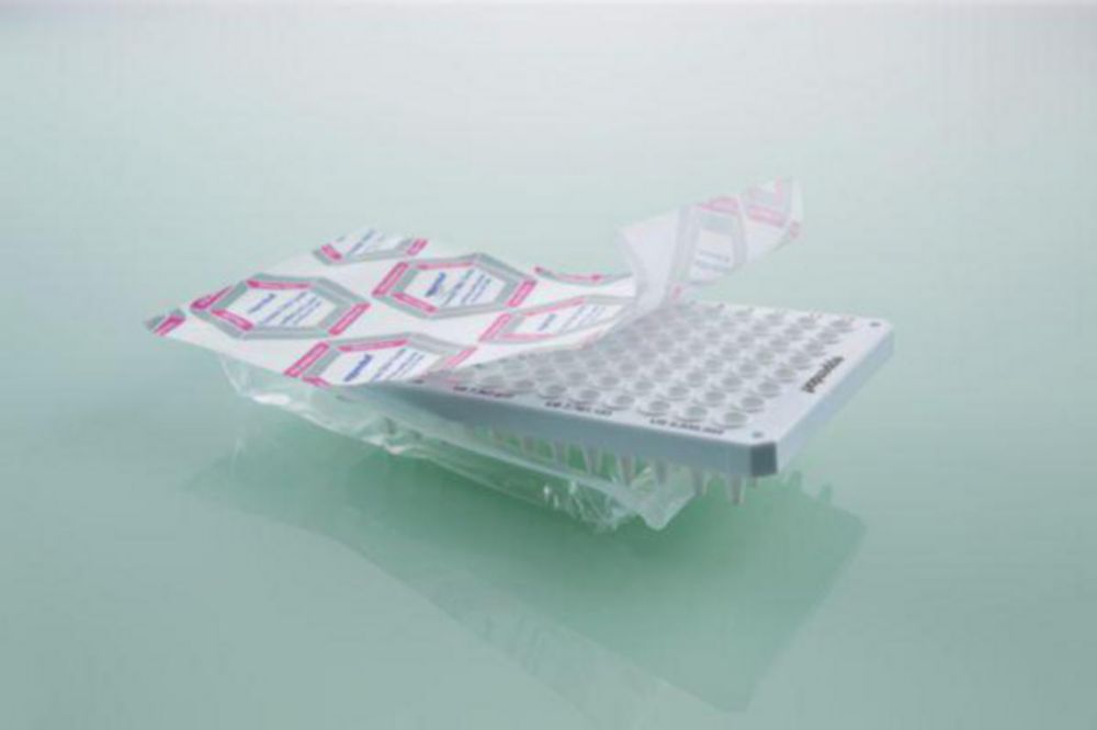 PCR platen, 96-wells, 150 µl, Twin.Tec, skirted, Forensic DNA grade, helder, real-time