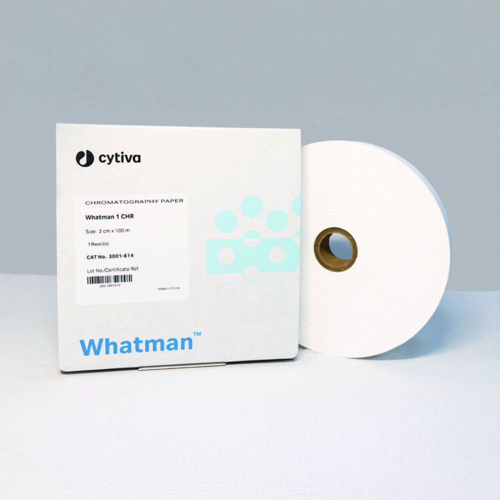 Papier, Visitekaartje, Tekst