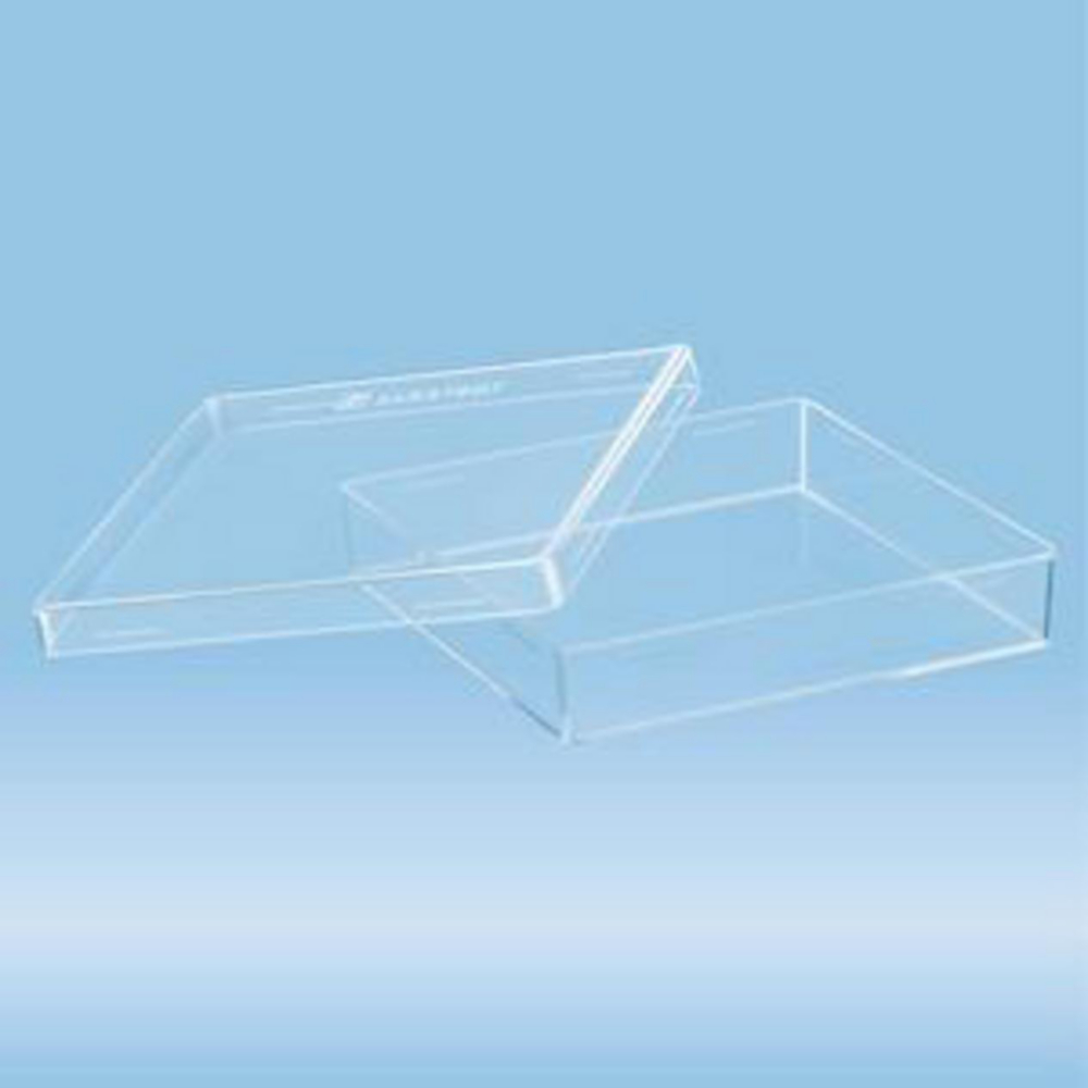 Petrischalen vierkant 100 x 100 mm, 20 mm, PS, steriel