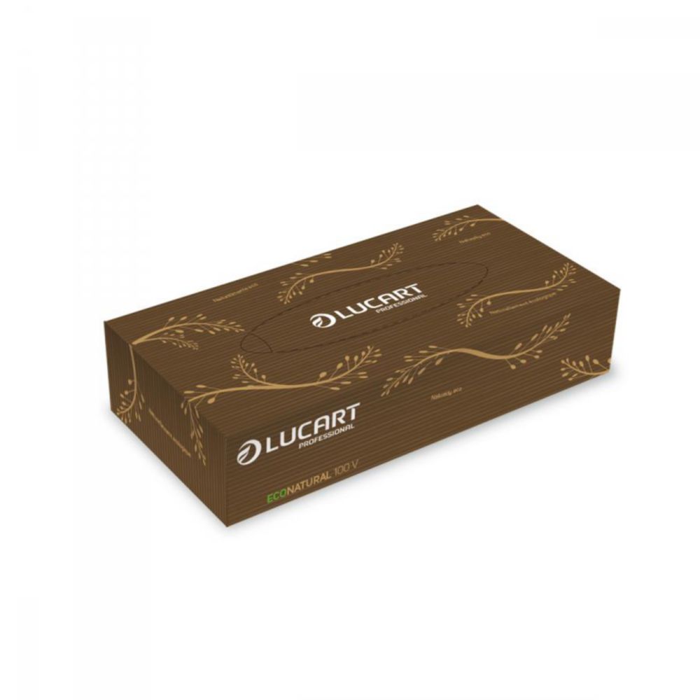 Tissues EcoNatural, 200 x 210 mm, 2-laags