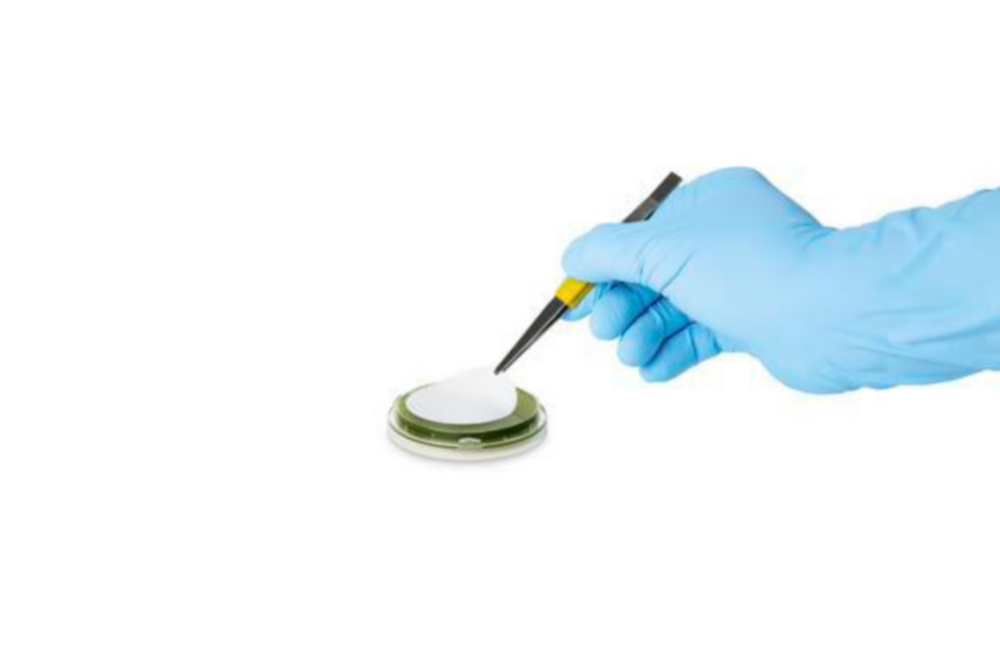 ReadyPlate 55 CN Agar   ISO 16266, Ø 55 mm platen