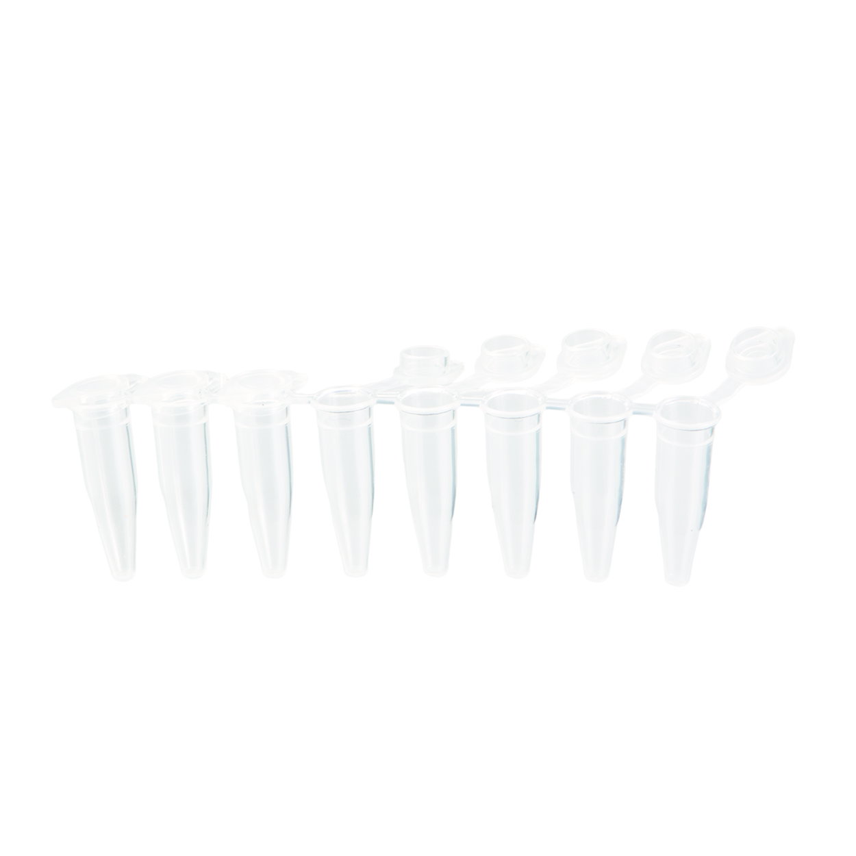 microcentrifuge tubes, tubes for testing, held of clear plastic, plastic, tube cap