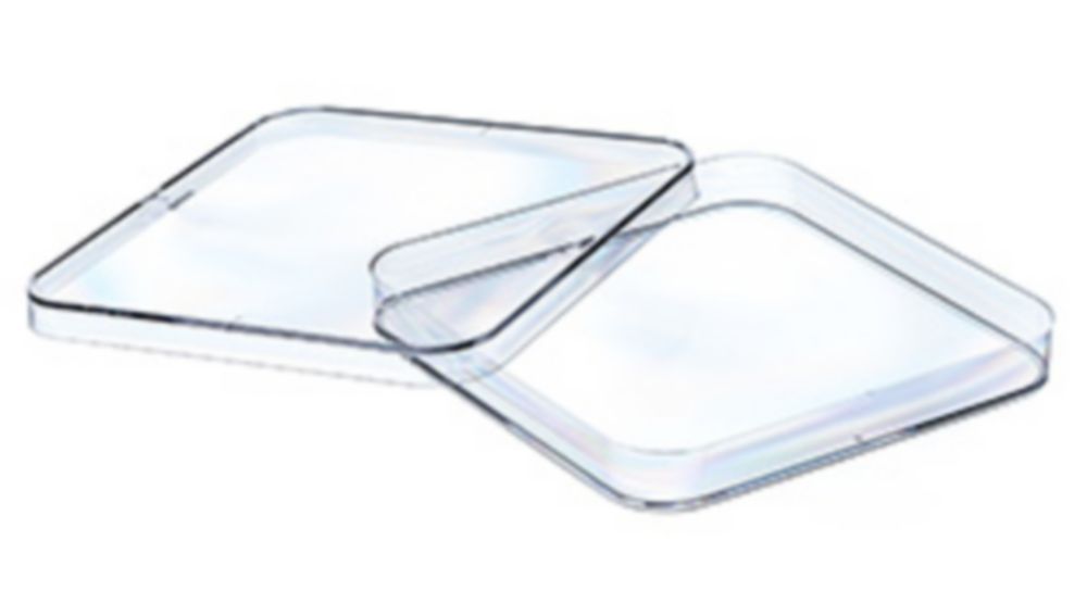 Petrischalen vierkant 120 x 120 mm, 17 mm, PS, steriel, 4 nokken