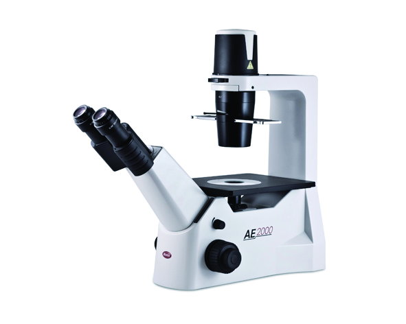 microscoop, binoculair, compond, wit, industrieel