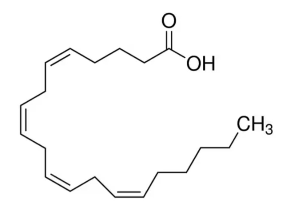 Arachidonzuur, ≥98.5% (GC)