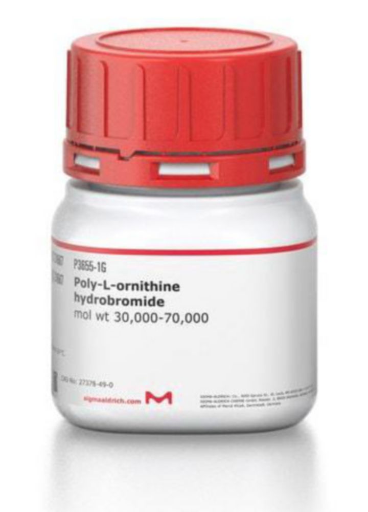 Poly-l-ornithine hydrobromide