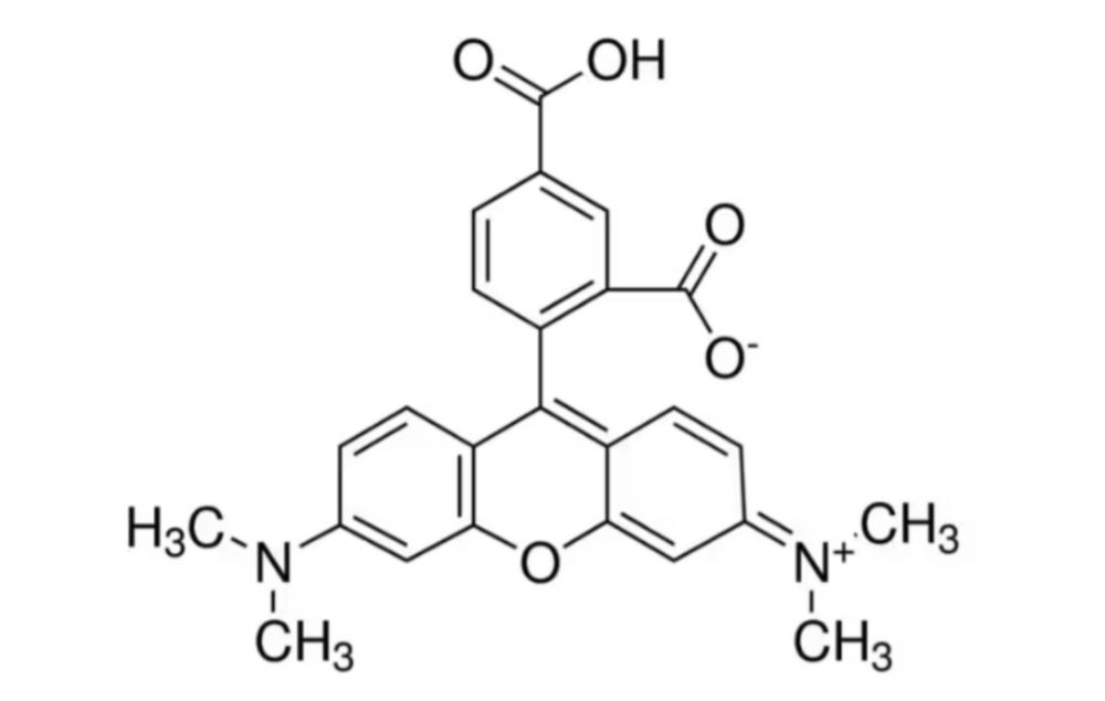 5-Carboxytetramethylrhodamine, ≥95% (HPLC)