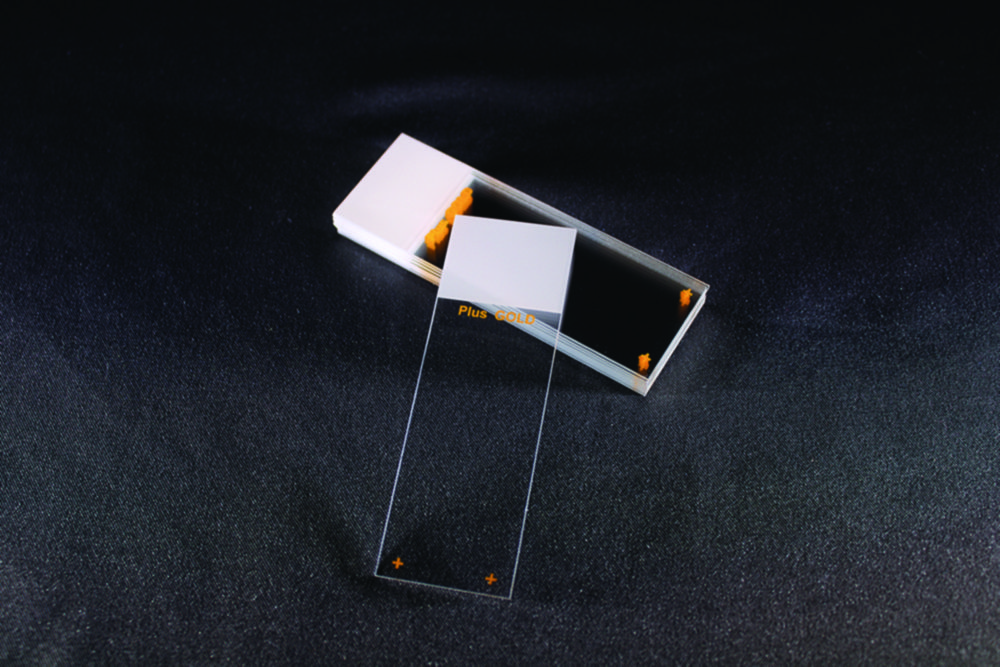 Objectglazen Plus GOLD  25 x 75 mm, geslepen, wit