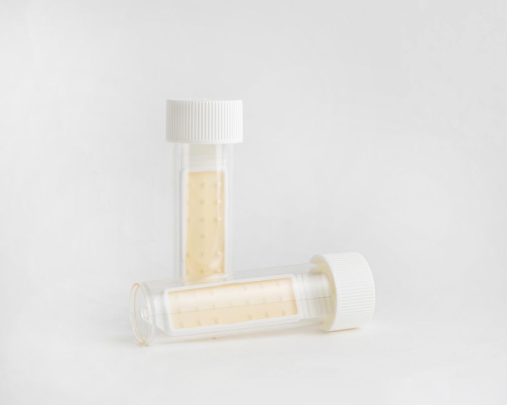 Dipslides – PC2TN, PCA + TTC + Neutraliser