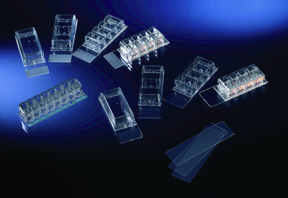 Chamber Slides Lab Tek II 2 kammern