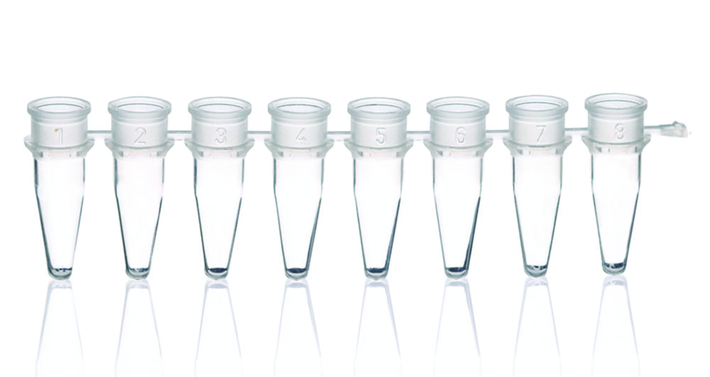 PCR-strips 8 x 0,2 ml, PP, zonder snapcaps, transparant