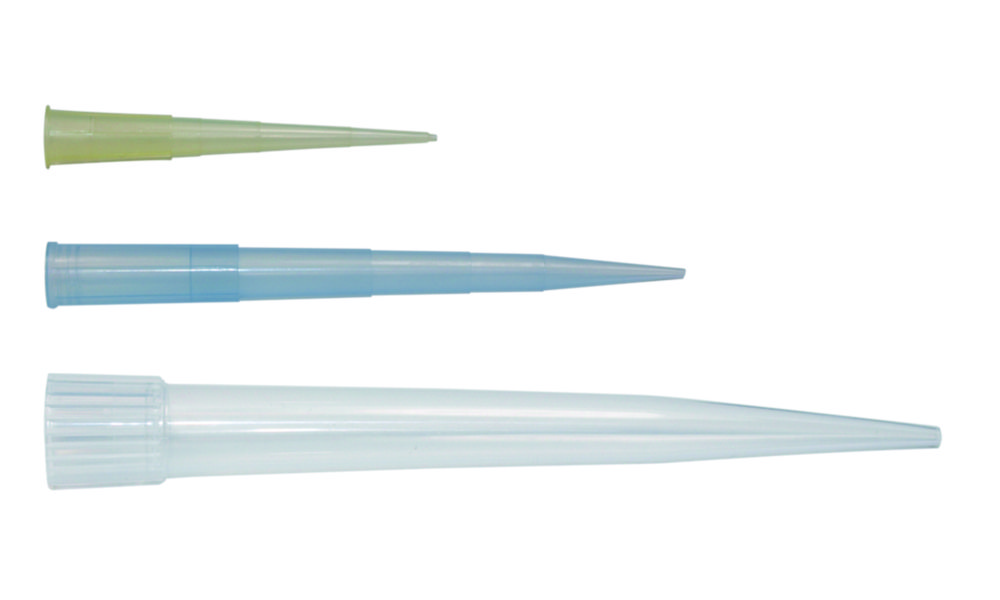 Pipetpunten 100-1000 µl, DNase and Rnase-vrij, Economy, Transparant, Polypropylene, Niet-steriel