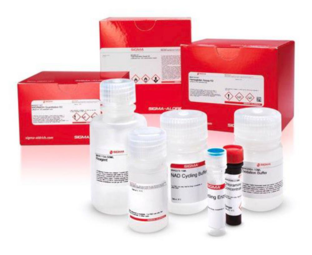 Antioxidant Assay Kit