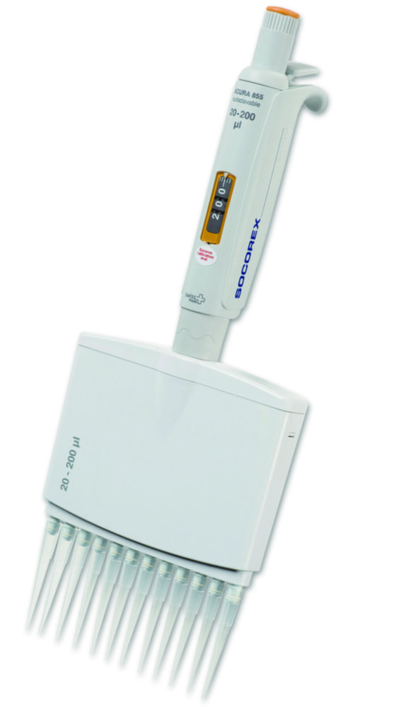 PCR, pH, thermocycler, pcr, electrophoresis