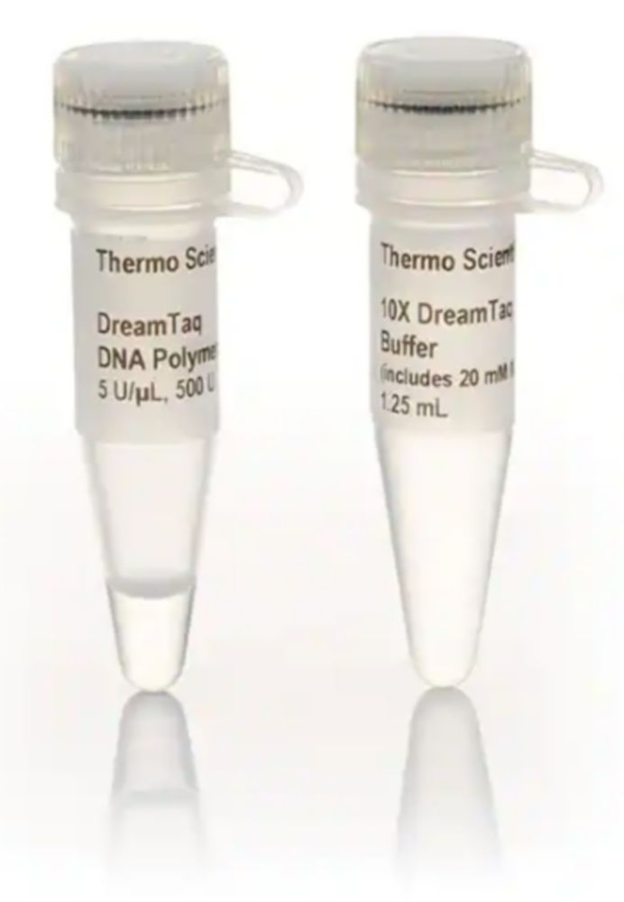Dreamtaq Dna Polymerase (5 U/µl)