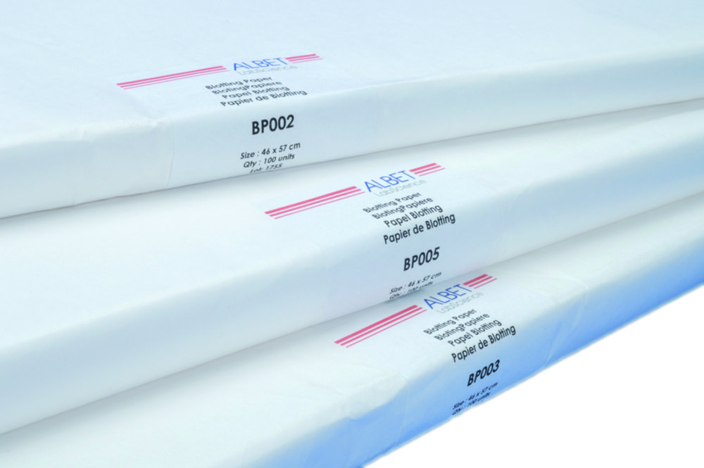 Blottingpapier 580 x 600 mm, 0,35 mm dik, gemiddelde absorptie