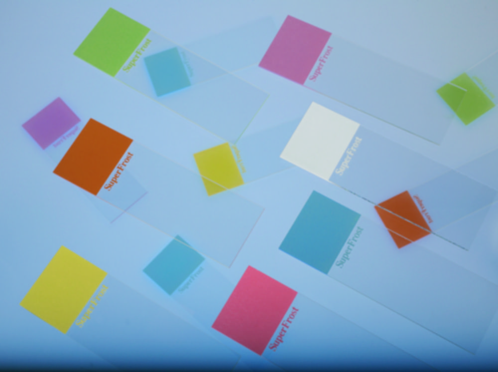 Objectglazen SuperFrost, 76 x  26 mm, geslepen 45°, blauw